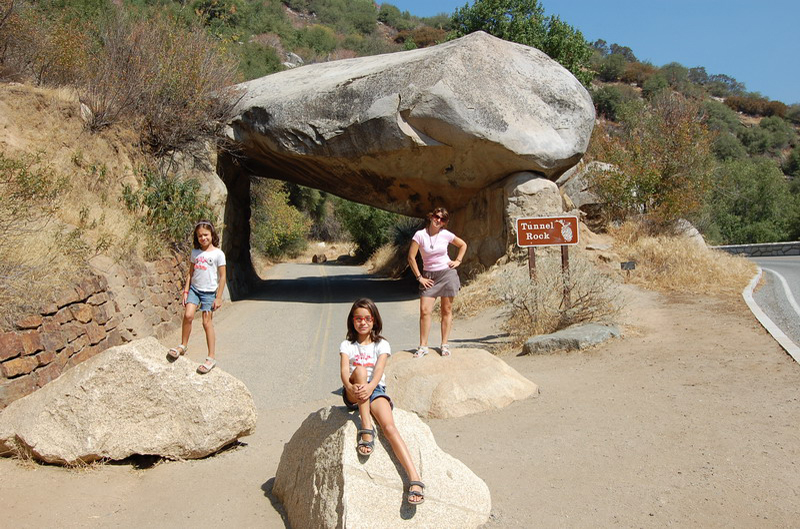 Sequoia Nat Park 8x6_011