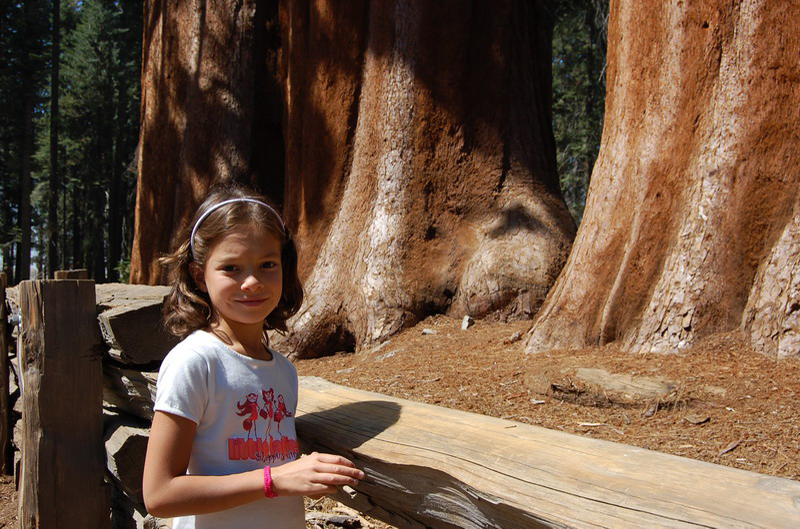 Sequoia Nat Park 8x6_020