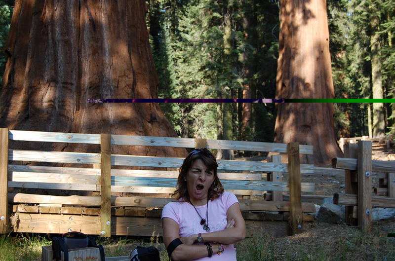 Sequoia Nat Park 8x6_083
