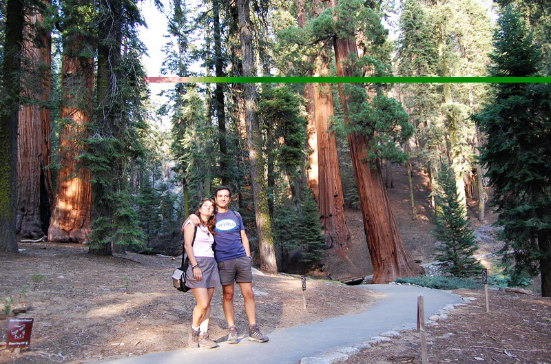 Sequoia Nat Park 8x6_103