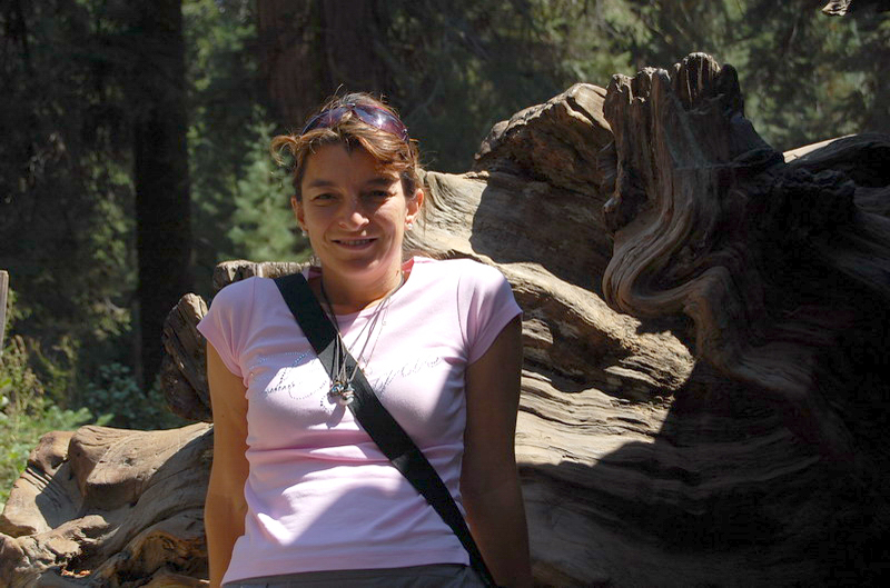 Sequoia Nat Park 8x6_122