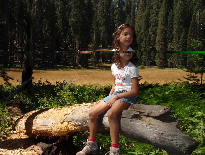 Sequoia Nat Park 8x6_159
