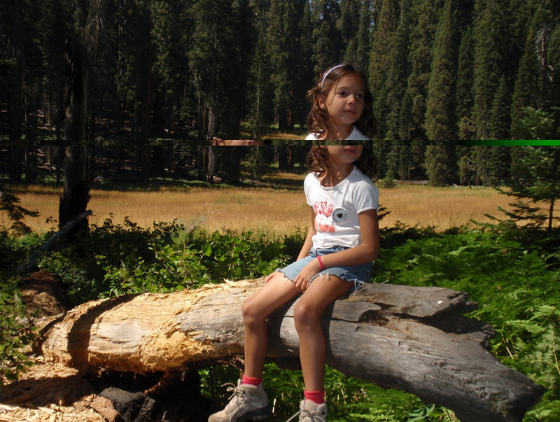 Sequoia Nat Park 8x6_159
