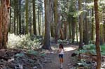 Sequoia Nat Park 8x6_066