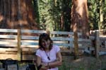 Sequoia Nat Park 8x6_084