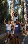Sequoia Nat Park 8x6_088