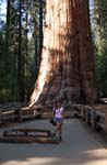 Sequoia Nat Park 8x6_089