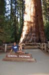 Sequoia Nat Park 8x6_093