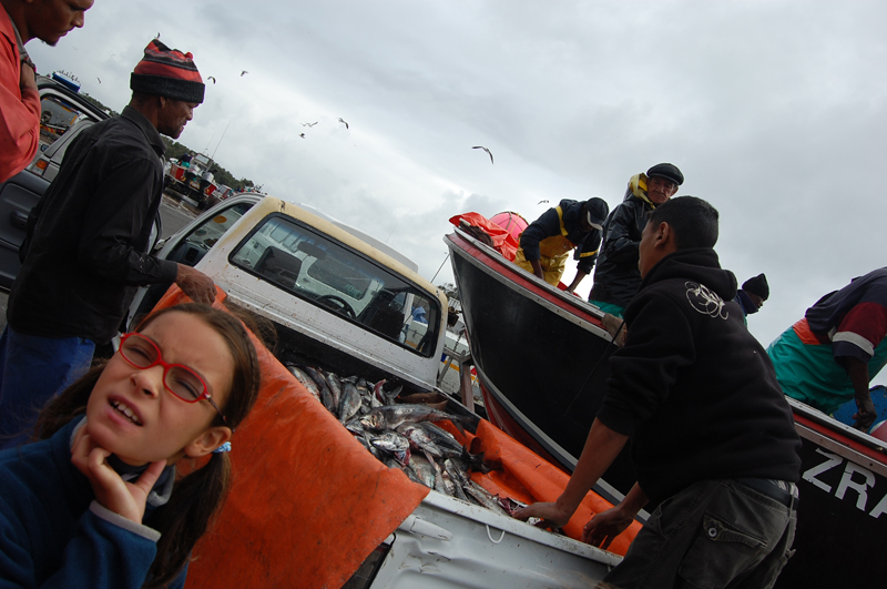 Llega el pescado 0731