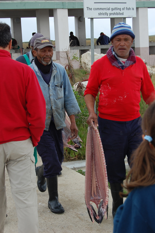 Llega el pescado 0735