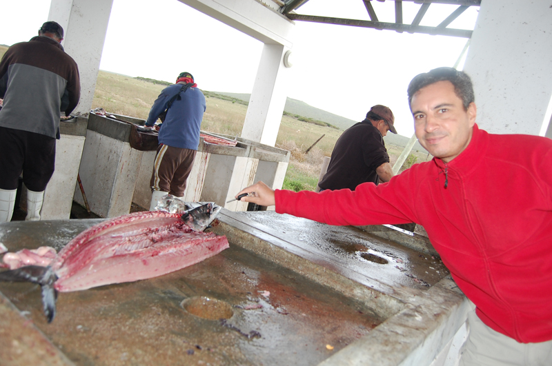 Llega el pescado 0736