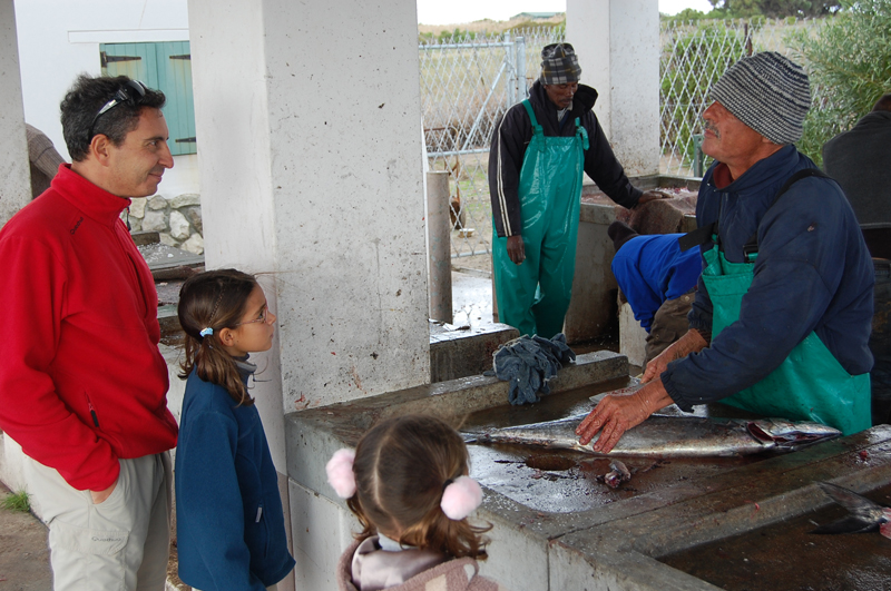 Llega el pescado 0737