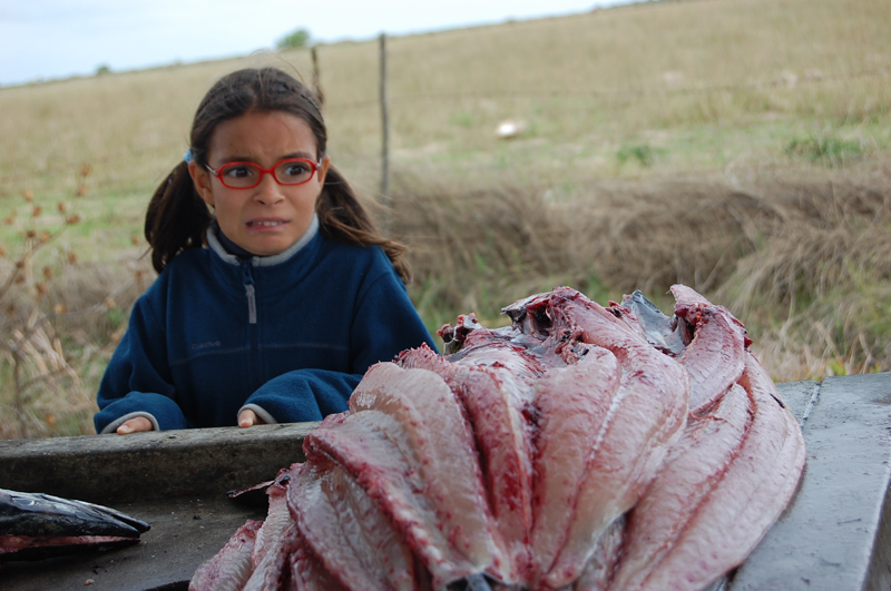 Llega el pescado 0740