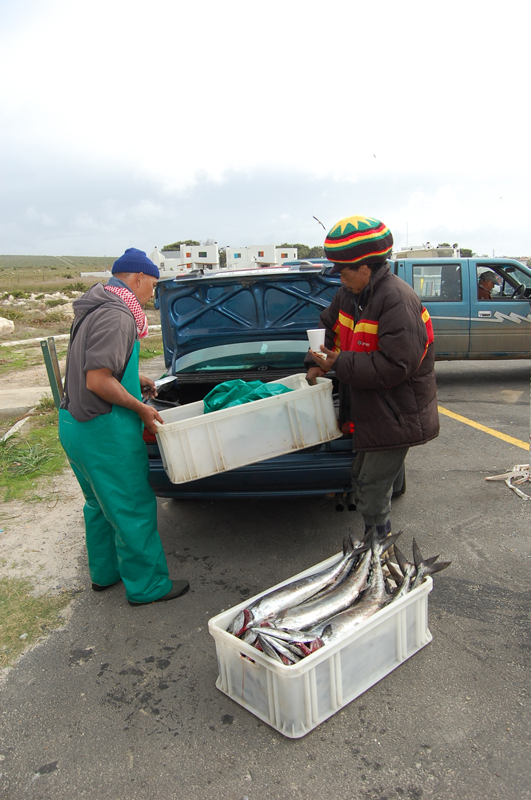 Llega el pescado 0742