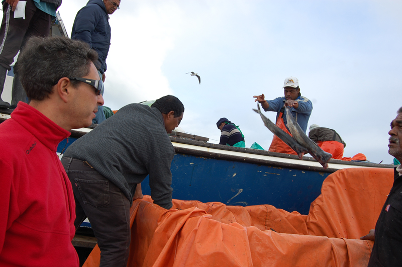 Llega el pescado 0746