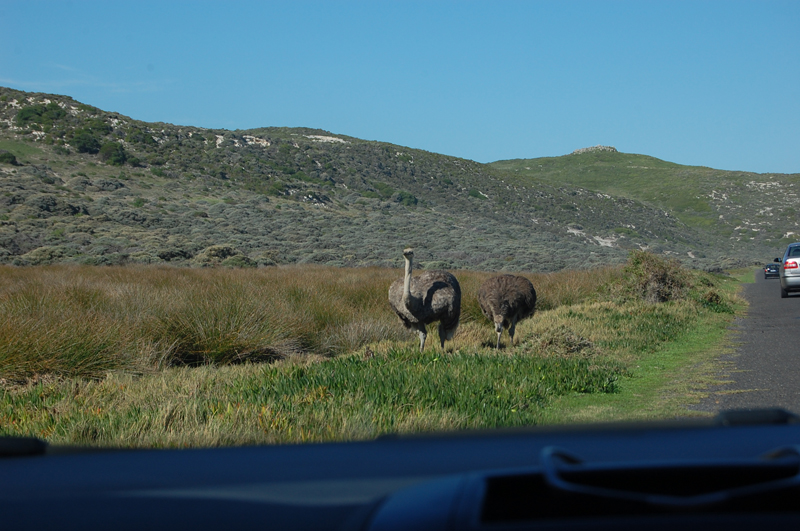 4 Cabo de Buena Esperanza 0250