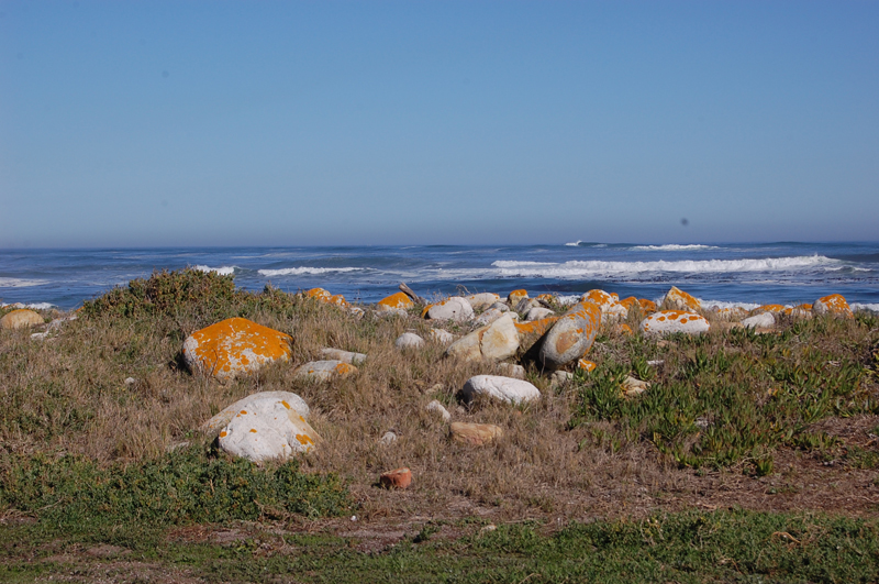 4 Cabo de Buena Esperanza 0251