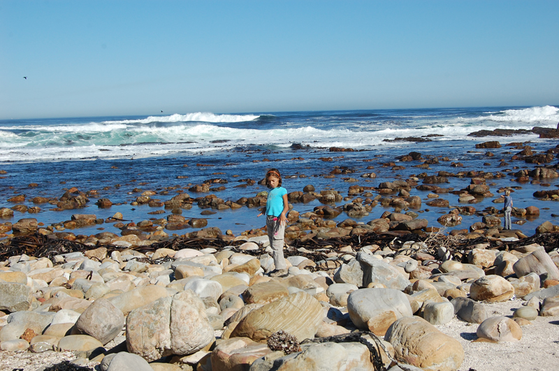 4 Cabo de Buena Esperanza 0252