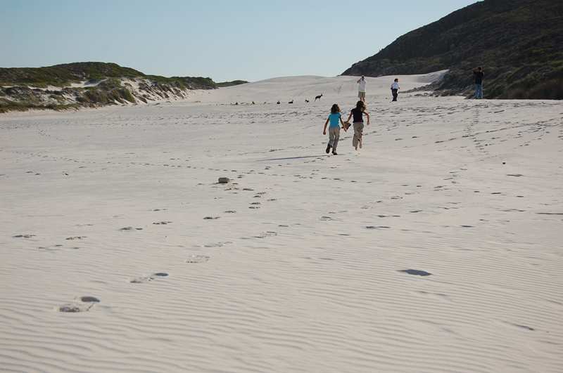 4 Cabo de Buena Esperanza 0265