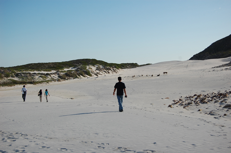 4 Cabo de Buena Esperanza 0266