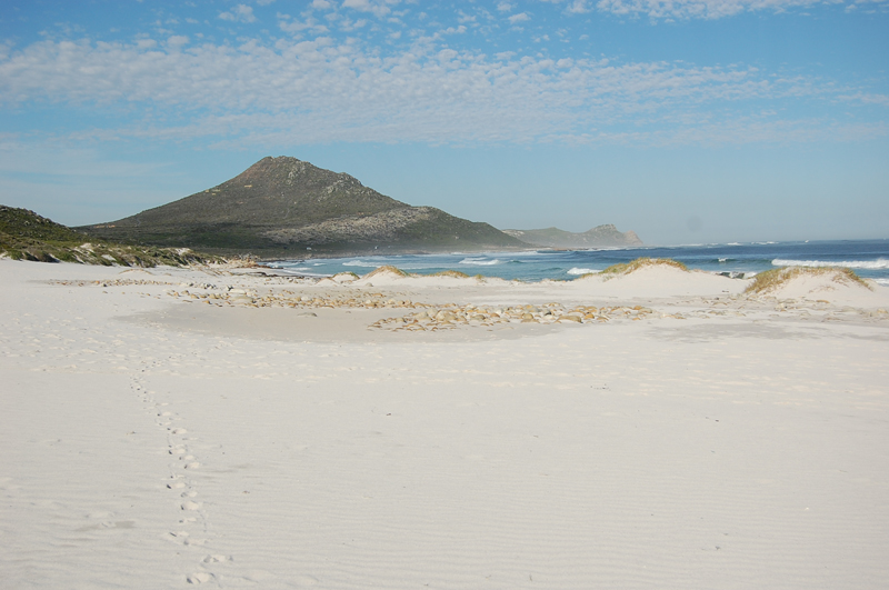 4 Cabo de Buena Esperanza 0267