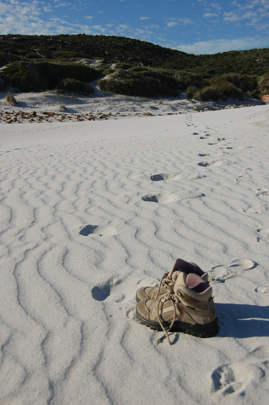 4 Cabo de Buena Esperanza 0268