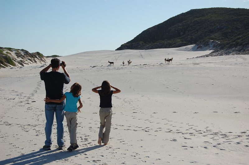 4 Cabo de Buena Esperanza 0269