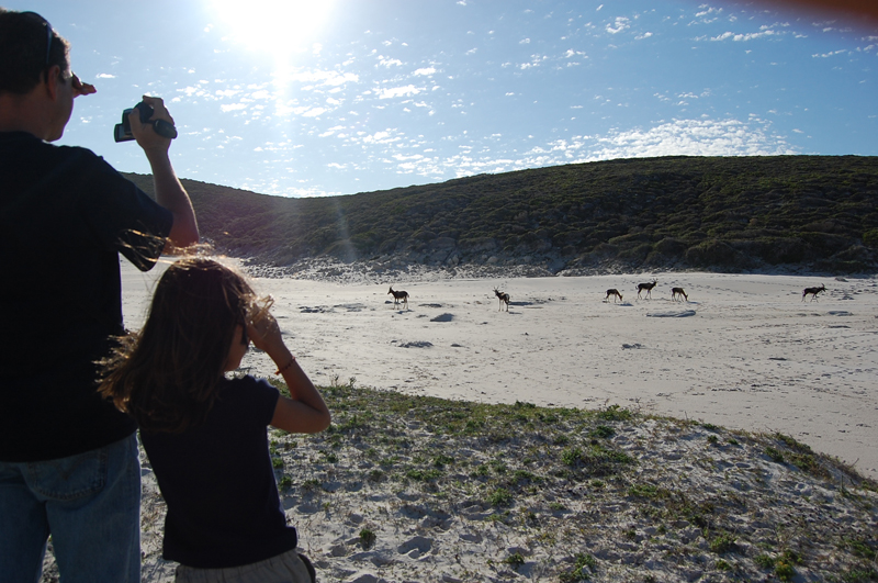 4 Cabo de Buena Esperanza 0273