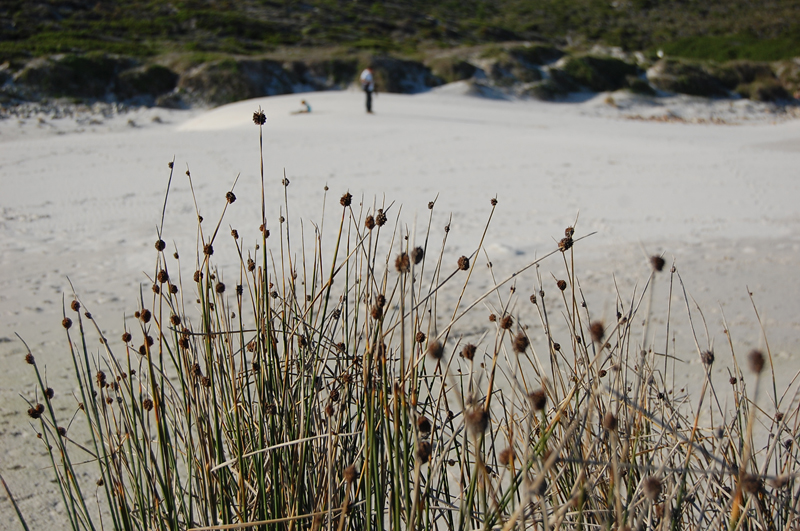 4 Cabo de Buena Esperanza 0275