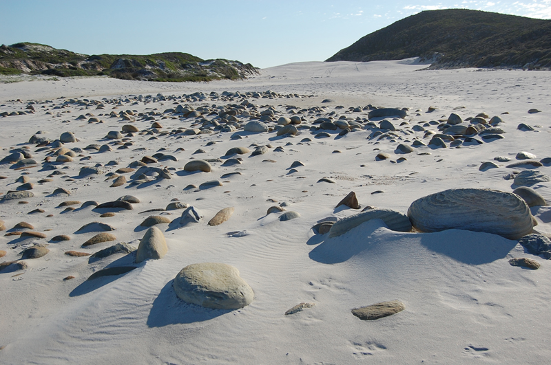 4 Cabo de Buena Esperanza 0278