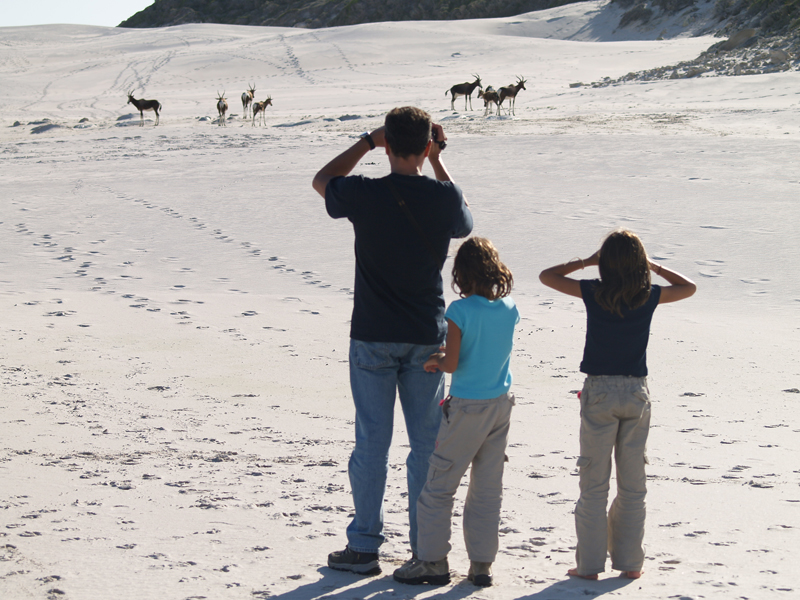 4 Cabo de Buena Esperanza 0289