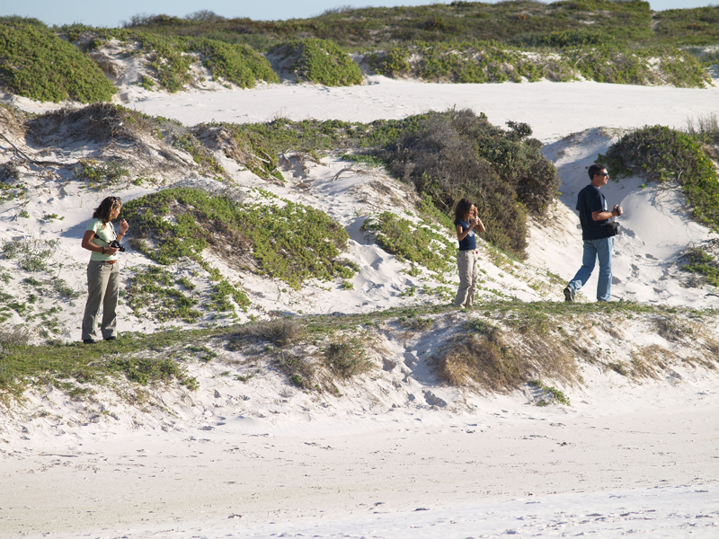 4 Cabo de Buena Esperanza 0295