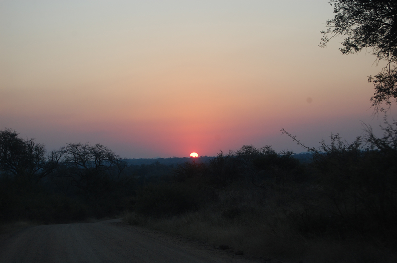 Kruger 0895