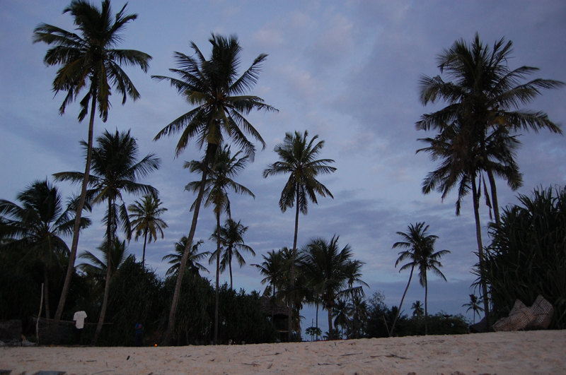 2 Zanzibar 0016