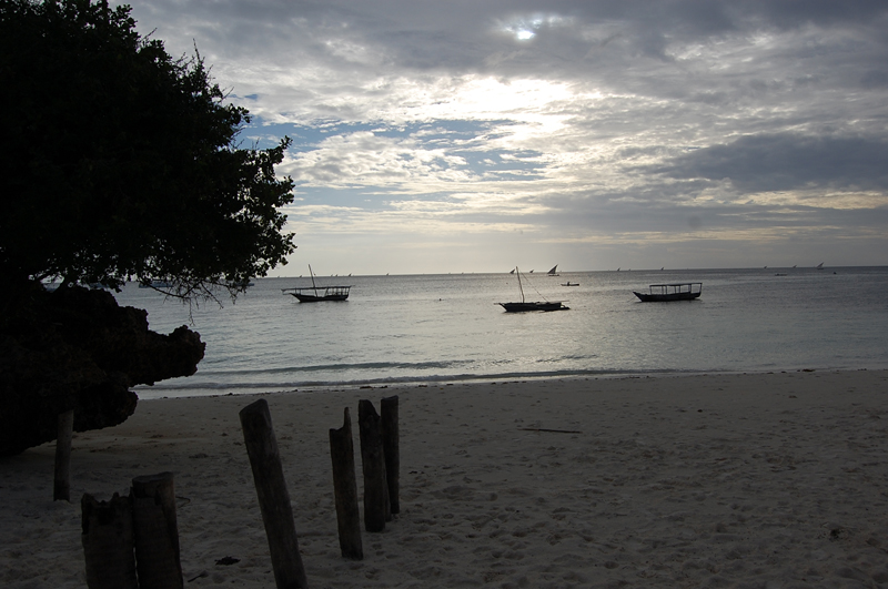 2 Zanzibar 0043