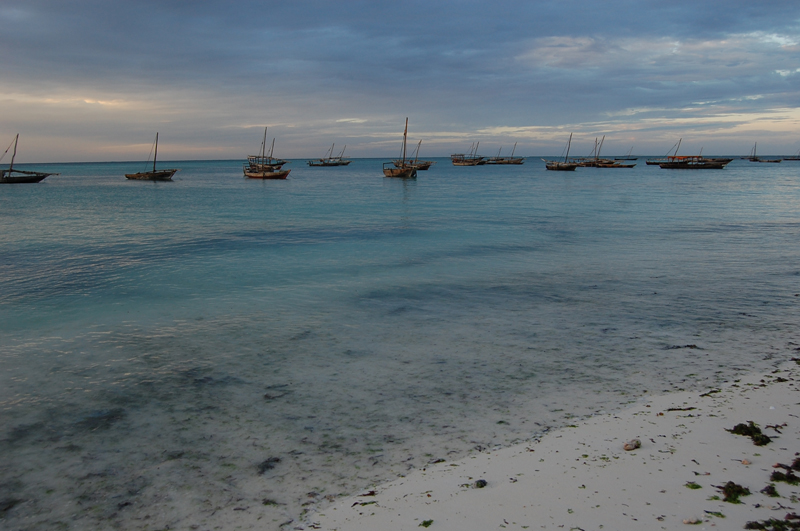 2 Zanzibar 0060