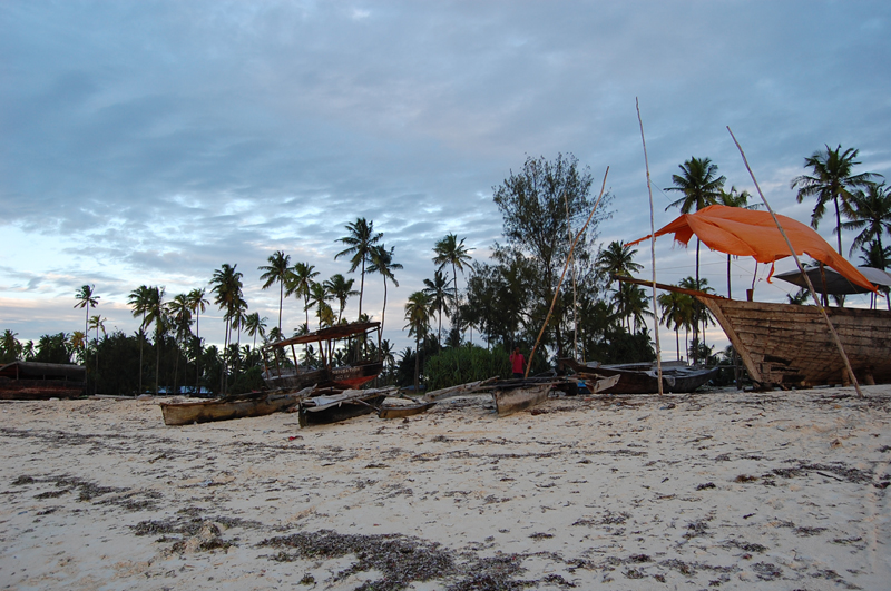 2 Zanzibar 0063