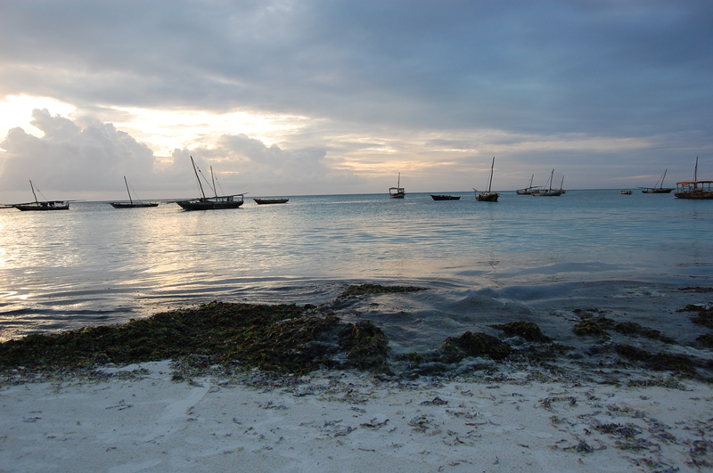 2 Zanzibar 0066