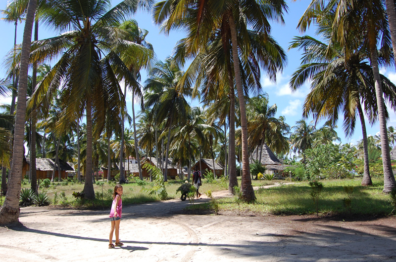 Zanzibar 0247