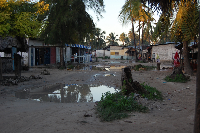 Zanzibar 0461