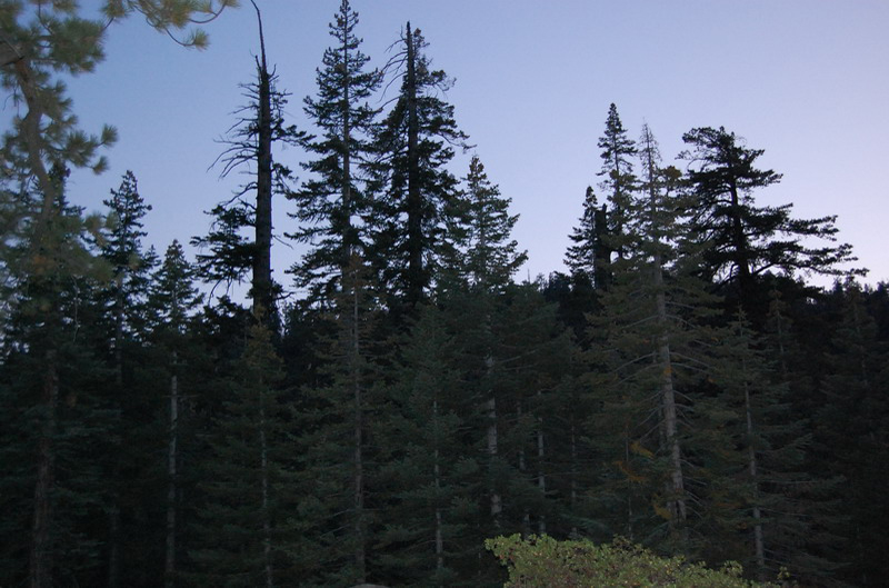 Yosemite_054