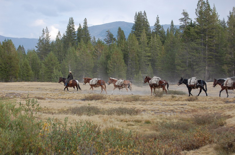 Yosemite_094