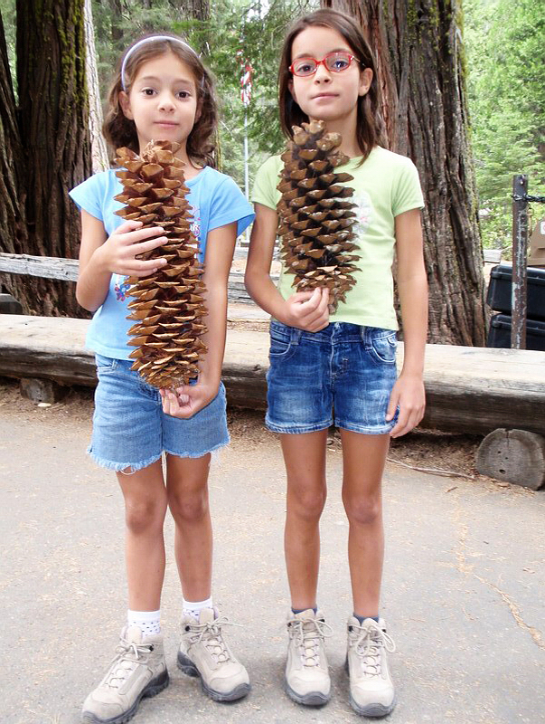 Yosemite_096