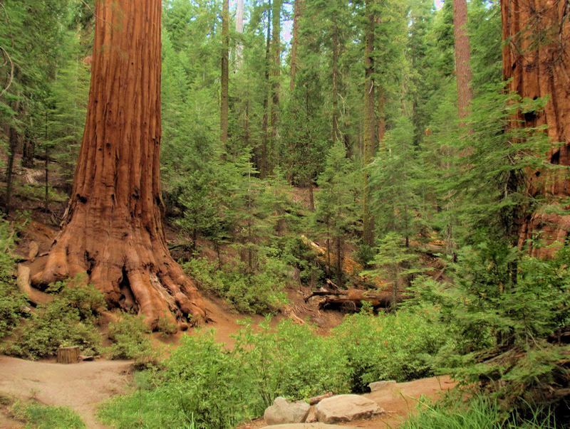 Yosemite_099