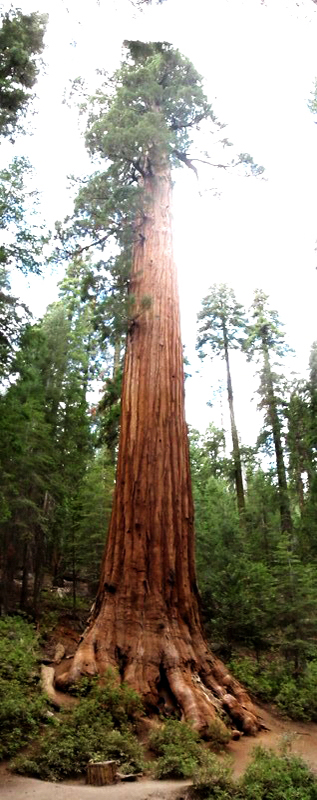 Yosemite_100