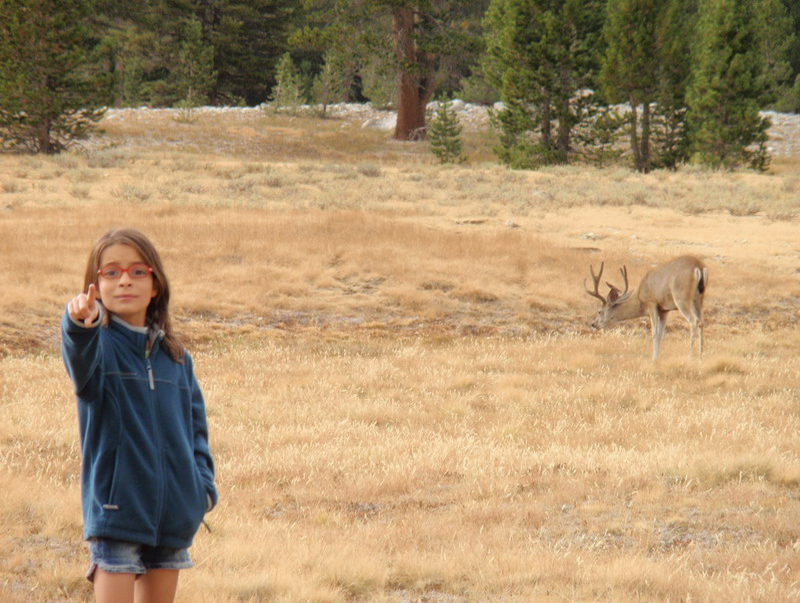 Yosemite_108