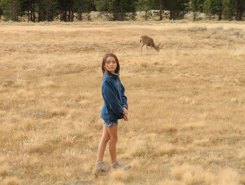 Yosemite_110