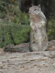 Yosemite_064
