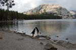 Yosemite_084