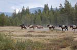 Yosemite_094
